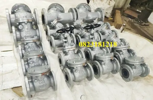 Van một chiều thép 4 Van một chiều thép mặt bích