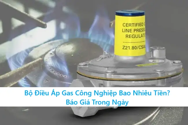 Bộ Điều Áp Gas Công Nghiệp Bao Nhiêu Tiền? Báo Giá Trong Ngày 1 Bộ Điều Áp Gas Công Nghiệp Bao Nhiêu Tiền