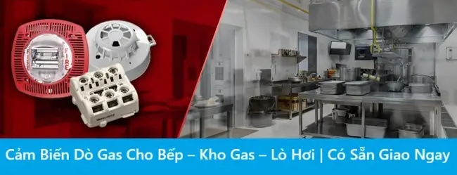 Cảm Biến Dò Gas Cho Bếp, Kho Gas, Lò Hơi