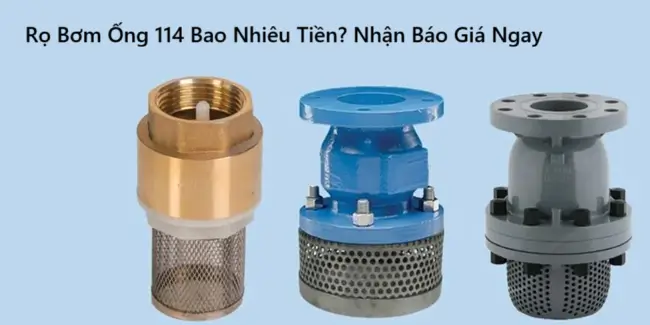 Rọ Bơm Ống 114 Bao Nhiêu Tiền? Nhận Báo Giá Ngay 2 Rọ Bơm Ống 114 Bao Nhiêu Tiền