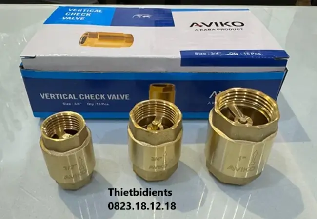 Van một chiều lò xo