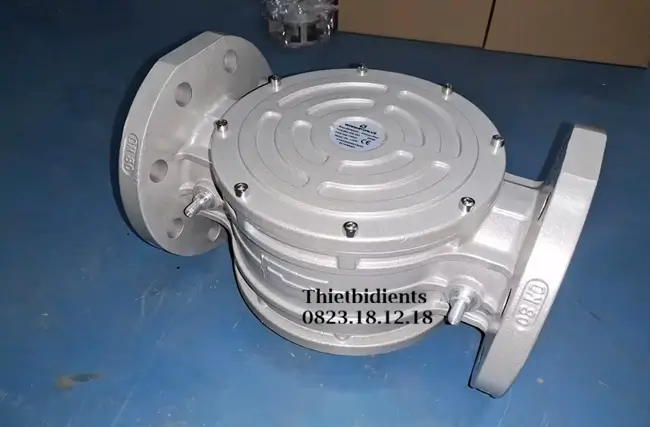 Bộ lọc khí gas mặt bích