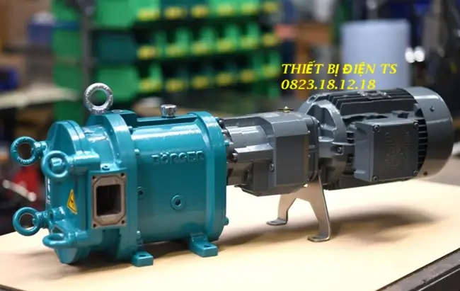 Máy bơm cánh khế thực phẩm 