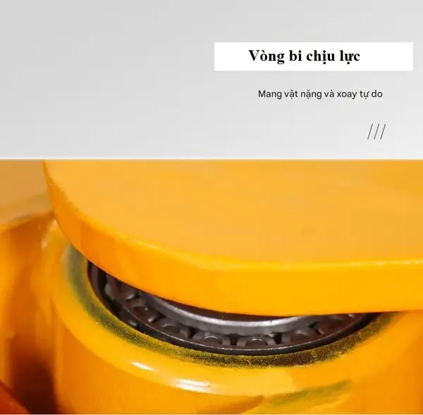 Con rùa lăn chuyển hàng 360 độ 5 Vòng bi chịu lực của con rùa lăn xoay 360 độ