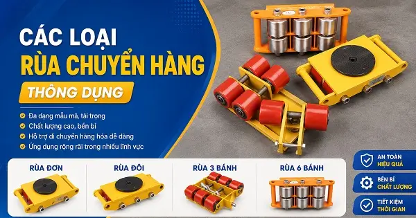 Các Loại Rùa Chuyển Hàng Thông Dụng 45 Các loại rùa chuyển hàng thông dụng