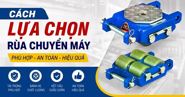 Cách lựa chọn rùa chuyển máy