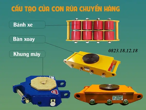 RÙA CHUYỂN HÀNG LÀ GÌ? 8 Cấu tạo rùa chuyển hàng