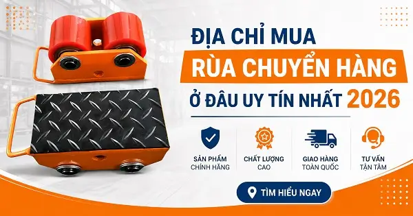 Địa chỉ mua rùa chuyển hàng ở đâu uy tín nhất 2026