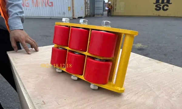 Địa chỉ mua rùa chuyển hàng uy tín nhất 2026 5 Giới thiệu chung về rùa chuyển hàng