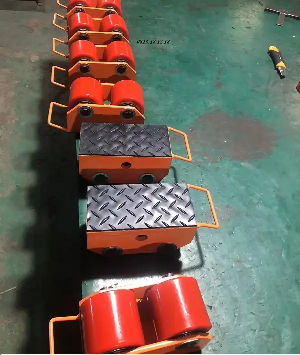 Lưu ý khi lựa chọn rùa chuyển hàng