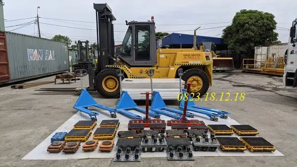 Phân loại rùa chuyển hàng