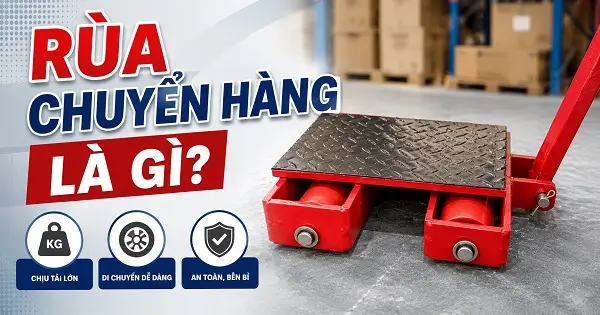 RÙA CHUYỂN HÀNG LÀ GÌ? 8 Rùa chuyển hàng là gì?