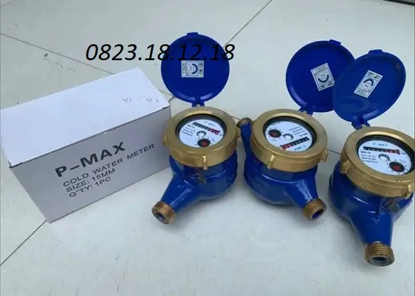 Các hãng đồng hồ nước chuyên dụng 13 Đồng hồ nước Pmax