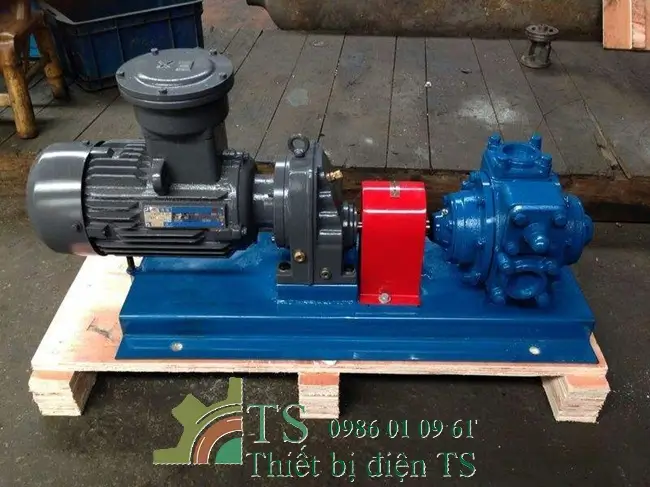 Bơm cánh gạt là gì 5 Bơm cánh gạt