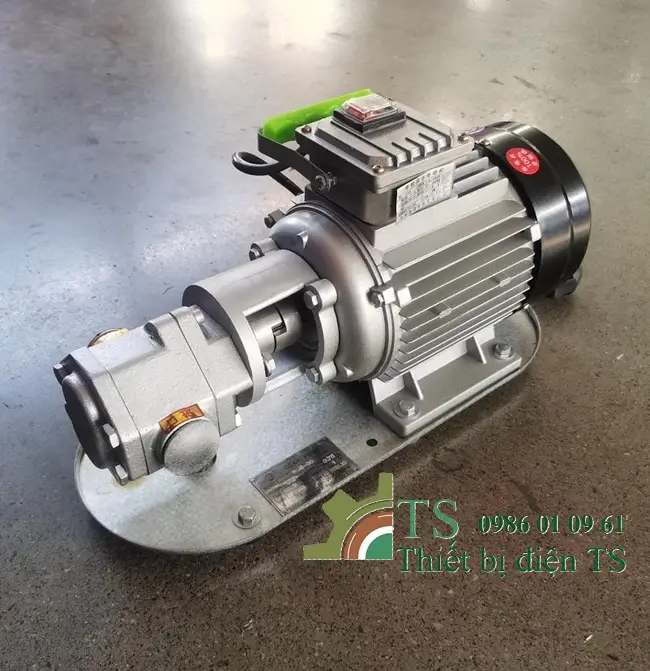 Các loại máy bơm dầu Diesel chuyên dụng 9 Máy bơm dầu Diesel 220V